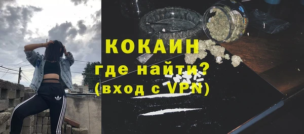 индика Заволжье