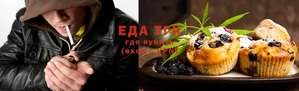 крисы Ельня