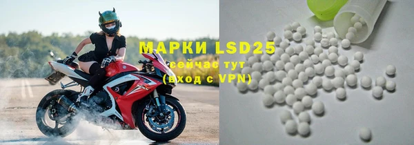 ПСИЛОЦИБИНОВЫЕ ГРИБЫ Елабуга