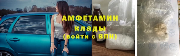 амф Елизово