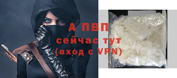амф Елизово