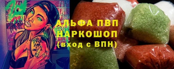 крисы Ельня