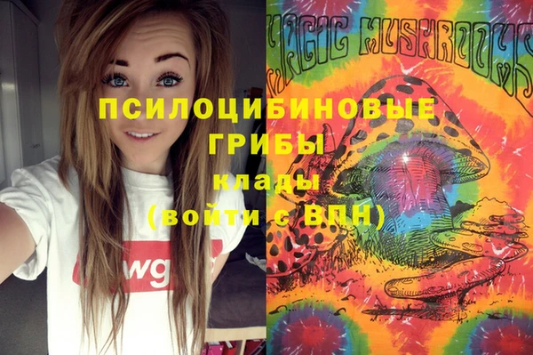 амф Елизово