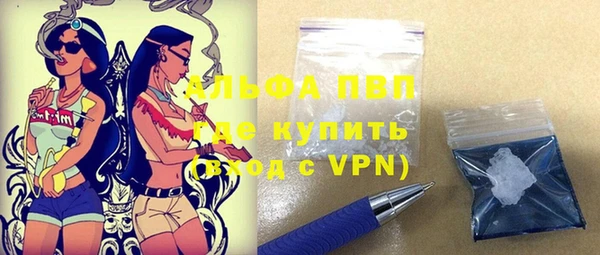 крисы Ельня