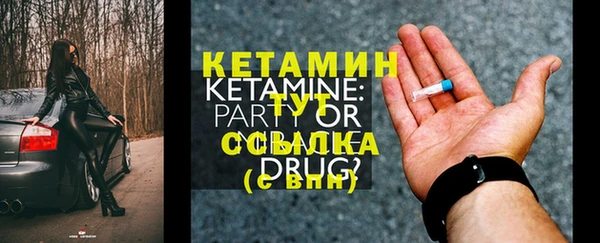 крисы Ельня