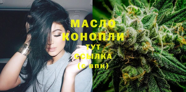 амф Елизово