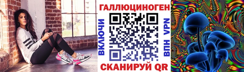 Купить Обоянь Псилоцибиновые грибы MAGIC MUSHROOMS