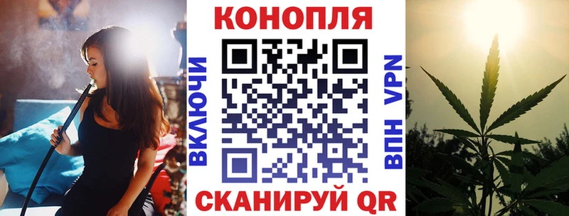 МАРИХУАНА сатива  Купить где  Обоянь 